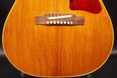 Gibson B-25_9