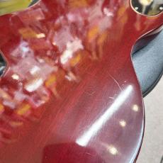 Gibson Les Paul Special_9