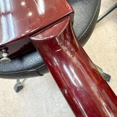 Gibson Les Paul Special_10