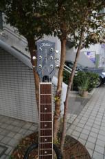 Tokai レスポールスペシャルタイプ　Honda Sound Works_3