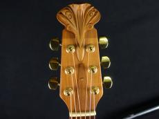 Ovation Adamas 2087GT-8_4