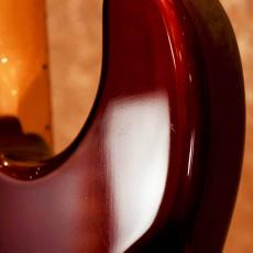 Fender 25th Anniversary Stratocaster '80_4