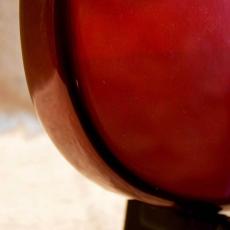 Fender 25th Anniversary Stratocaster '80_6