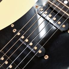 Fender Japan AST-80M/DH_5