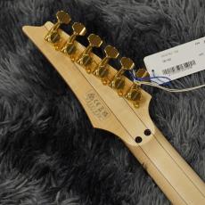 Ibanez PIA3761-XB (Onyx Black)  Steve Vai Signature【特価】【日本製】_6