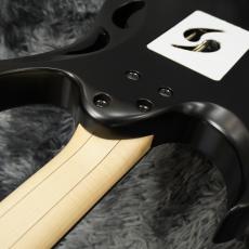 Ibanez PIA3761-XB (Onyx Black)  Steve Vai Signature【特価】【日本製】_8