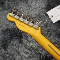 Fender American Professional Classic Hotshot Telecaster Faded Sherwood Green Metallic_6