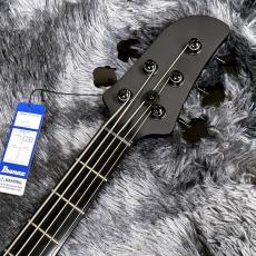 Ibanez TMB425B-BKF (Black Flat) -Talman Bass in BLACK-【特価】【2025年製】_5