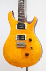 Paul Reed Smith [PRS] SE Custom 24 / Vintage Yellow / 3.48kg