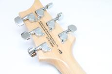 Paul Reed Smith [PRS] SE Custom 24 / Blue Fade / 3.35kg_8