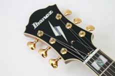 Ibanez PM200 / パットメセニー シグネチャーモデル【Made in Japan】【ちょっとハコものフェア～12/21(日)】_4