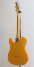 Fender Player II Telecaster / Butterscotch Blonde【チェンバードアッシュボディ】_6
