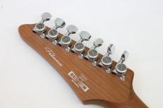 Ibanez TOD70 / 3.38kg【7弦】【ティム ヘンソン モデル】_7