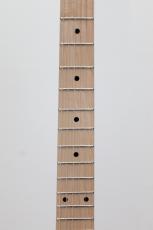 SCHECTER OL-TE-2H-FXD / BSC(Butter Scotch)_4