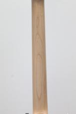 SCHECTER OL-TE-2H-FXD / BSC(Butter Scotch)_8