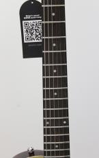 Sire Larry Carlton L3 P90 / GT_3