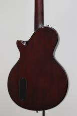 Sire Larry Carlton L3 P90 / GT_5