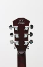 Sire Larry Carlton L3 P90 / GT_7