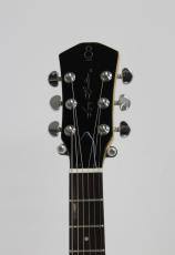 Sire Larry Carlton L3 P90 / TVY_3