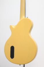 Sire Larry Carlton L3 P90 / TVY_5