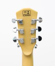 Sire Larry Carlton L3 P90 / TVY_7