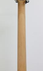 D'Angelico Premier Brighton Sky Blue Top, Natural Mahogany Back and Side_8