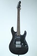 GrassRoots G-SN-CTM/P / See Thru Black