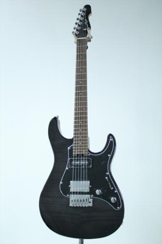 GrassRoots G-SN-CTM/P / See Thru Black