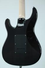 GrassRoots G-SN-CTM/P / See Thru Black_6