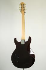 Wisdom DC5 / Brown Amber_5