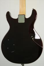 Wisdom DC5 / Brown Amber_6