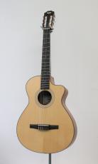 Taylor 112ce-Nylon 【エレガット】【弾きやすいネック!】_2