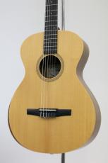 Taylor Academy 12e Nylon【エレガット】
