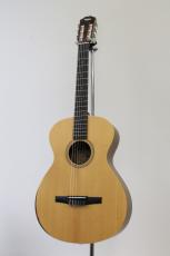 Taylor Academy 12e Nylon【エレガット】_2