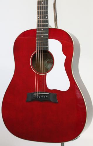 Morris G-021E / WR【エレアコ】