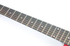 Morris G-021E / WR【エレアコ】_3