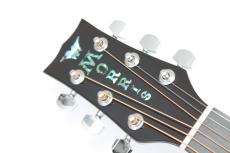 Morris G-021E / WR【エレアコ】_4