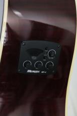 Morris G-021E / WR【エレアコ】_8