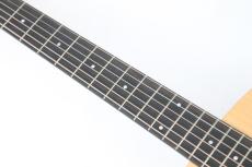 Taylor Academy 10e【エレアコ】_3