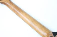 Taylor Academy 12e【エレアコ】_8