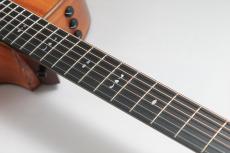 Taylor 722ce V-Class_6