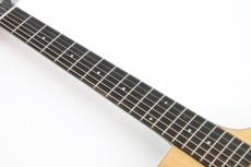 Taylor 212ce【最新スペック!】_3