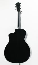 Taylor 214ce Special Edition / Trans Blue 【現物画像】_4