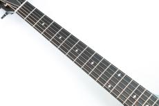 Taylor 214ce Special Edition / Trans Blue 【現物画像】_5