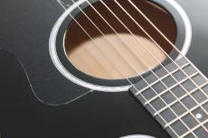 Taylor 214ce-BLK Plus_5