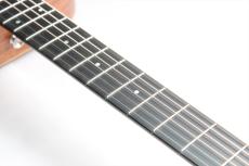 Taylor Baby Mahogany (BT2)_4