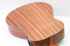 Taylor Limited GS Mini-e Trans Black_3