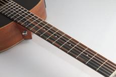 Taylor Limited GS Mini-e Trans Black_5