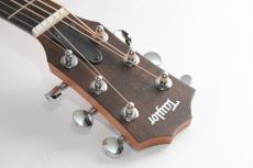 Taylor Limited GS Mini-e Trans Black_6