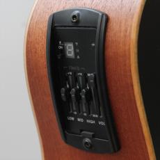 Taylor Limited GS Mini-e Trans Black_7